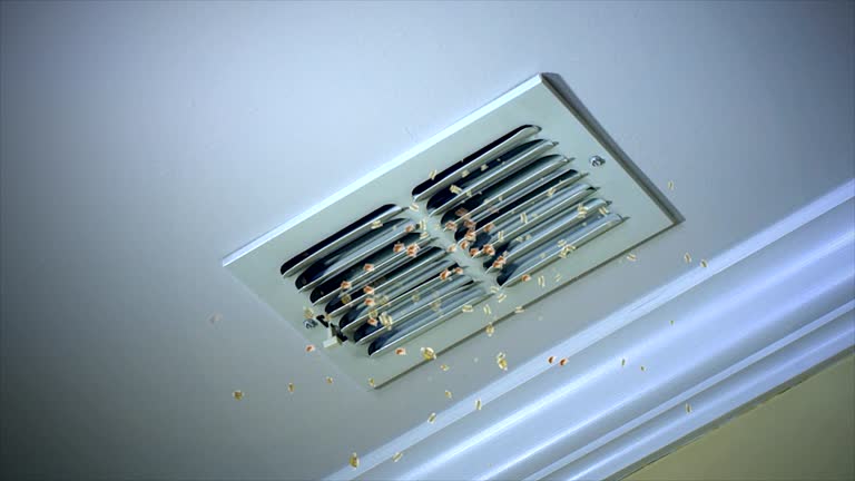 Best Home Air Vent Cleaning  in Avoca, PA