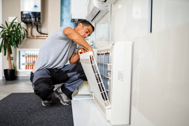 Best Air Duct Sanitizing Services  in Avoca, PA