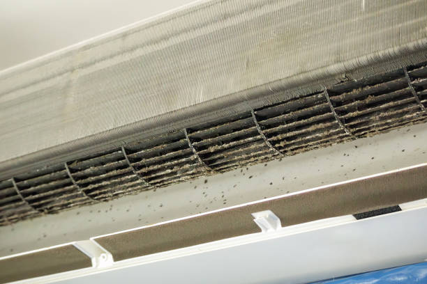 Best Best Air Duct Cleaning Company  in Avoca, PA