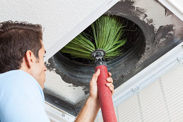 Best Air Duct Mold Removal  in Avoca, PA